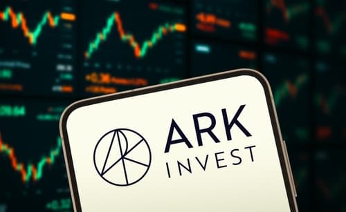 Cathie Wood Updates Bitcoin View as Stablecoins Take More Share now