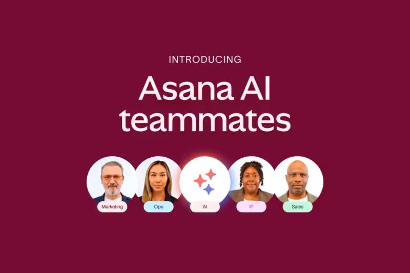 Asana AI Teammate screenshot